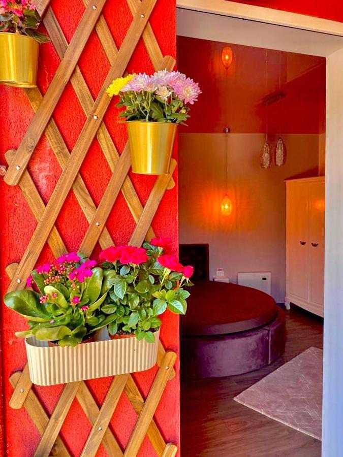 Sweet Pink By Miro Apartment سِنايا المظهر الخارجي الصورة
